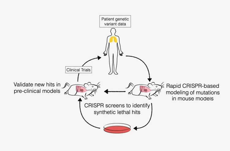 genome engineering approaches